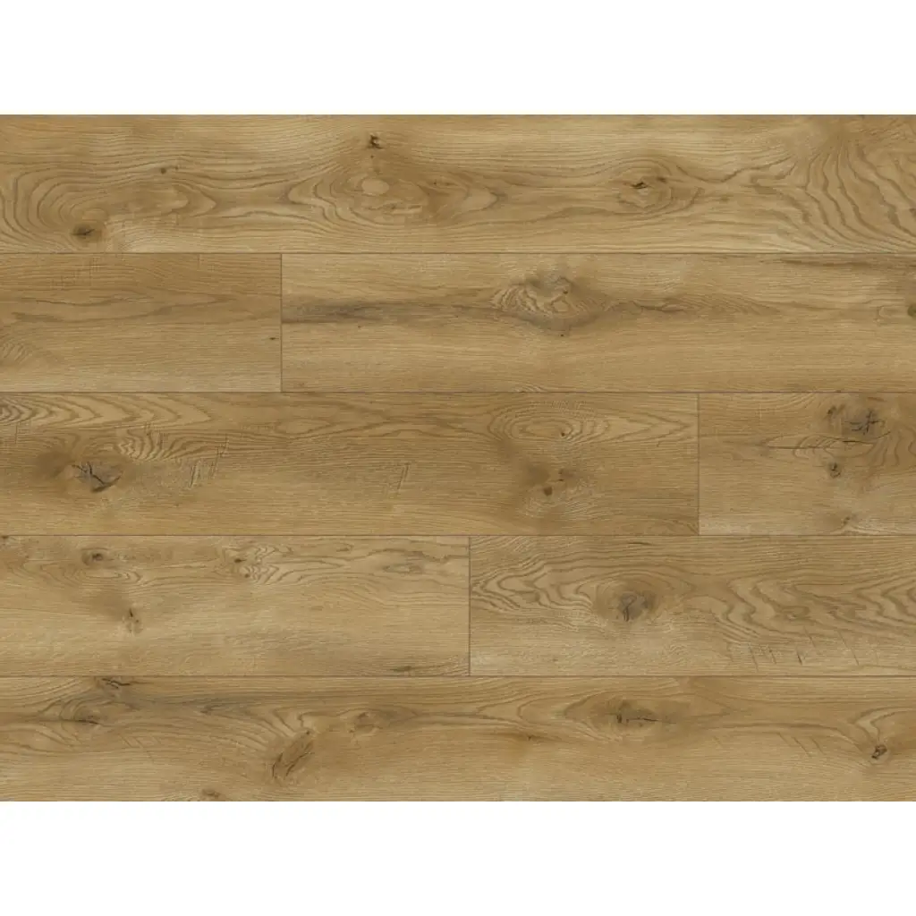 Panele podłogowe Dąb Havana 66724 AC5 8 mm, Panele podłogowe, Euphoria, Classen