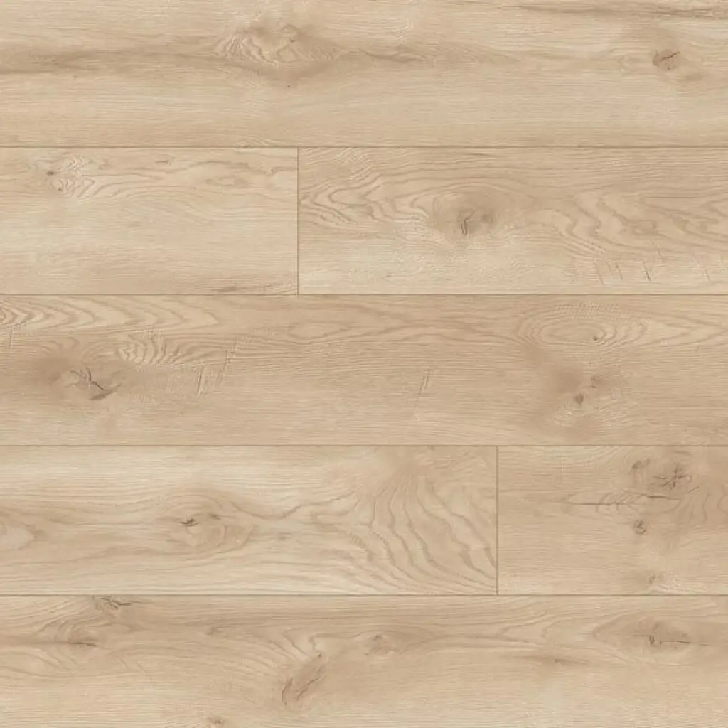 Panele podłogowe Dąb Albergo 66709 AC5 8 mm, Panele podłogowe, Euphoria, Classen