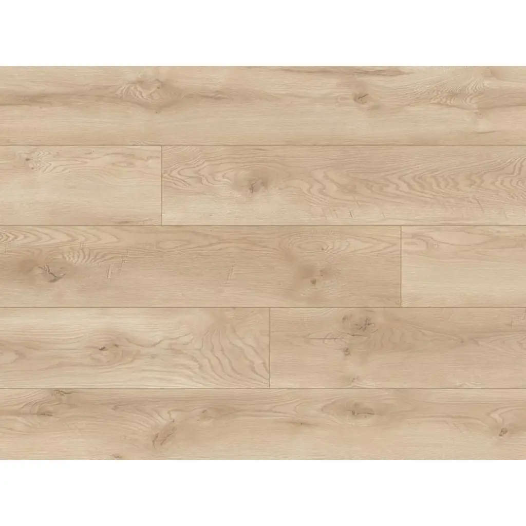 Panele podłogowe Dąb Albergo 66709 AC5 8 mm, Panele podłogowe, Euphoria, Classen