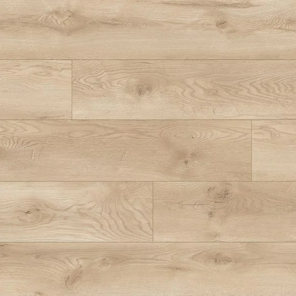 Panele podłogowe Dąb Albergo Naturalny 8 mm AC5, 66709 - 2
