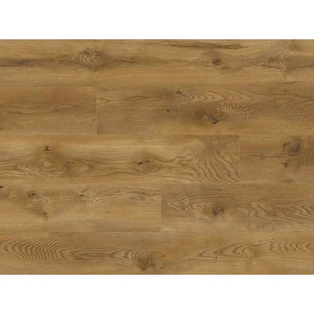 Panele podłogowe Dąb Valetta 66873 AC5 8 mm, Panele podłogowe, Euphoria, Classen