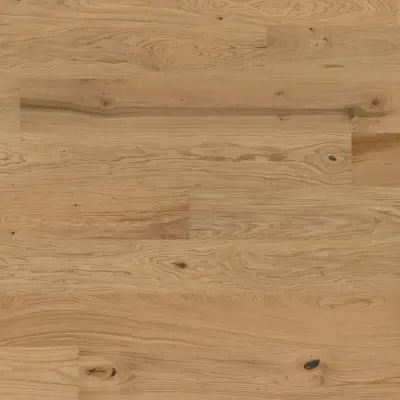 Dąb Aster 131248200 13 mm