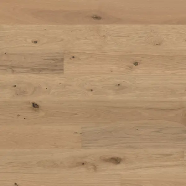 Dąb Gentian 131249200 13 mm