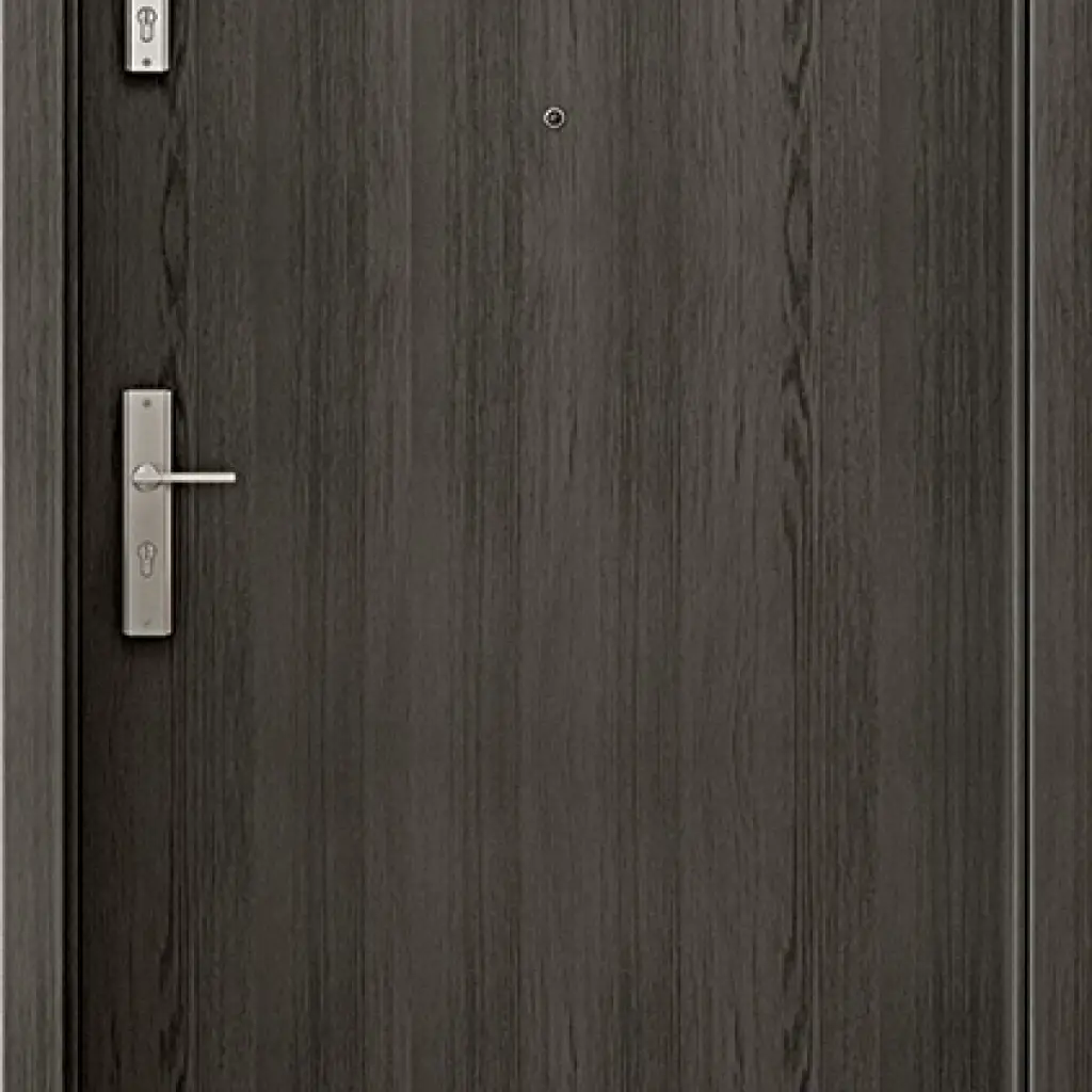 Drzwi Entrum, Drzwi zewnętrzne, Entrum, Ego Line