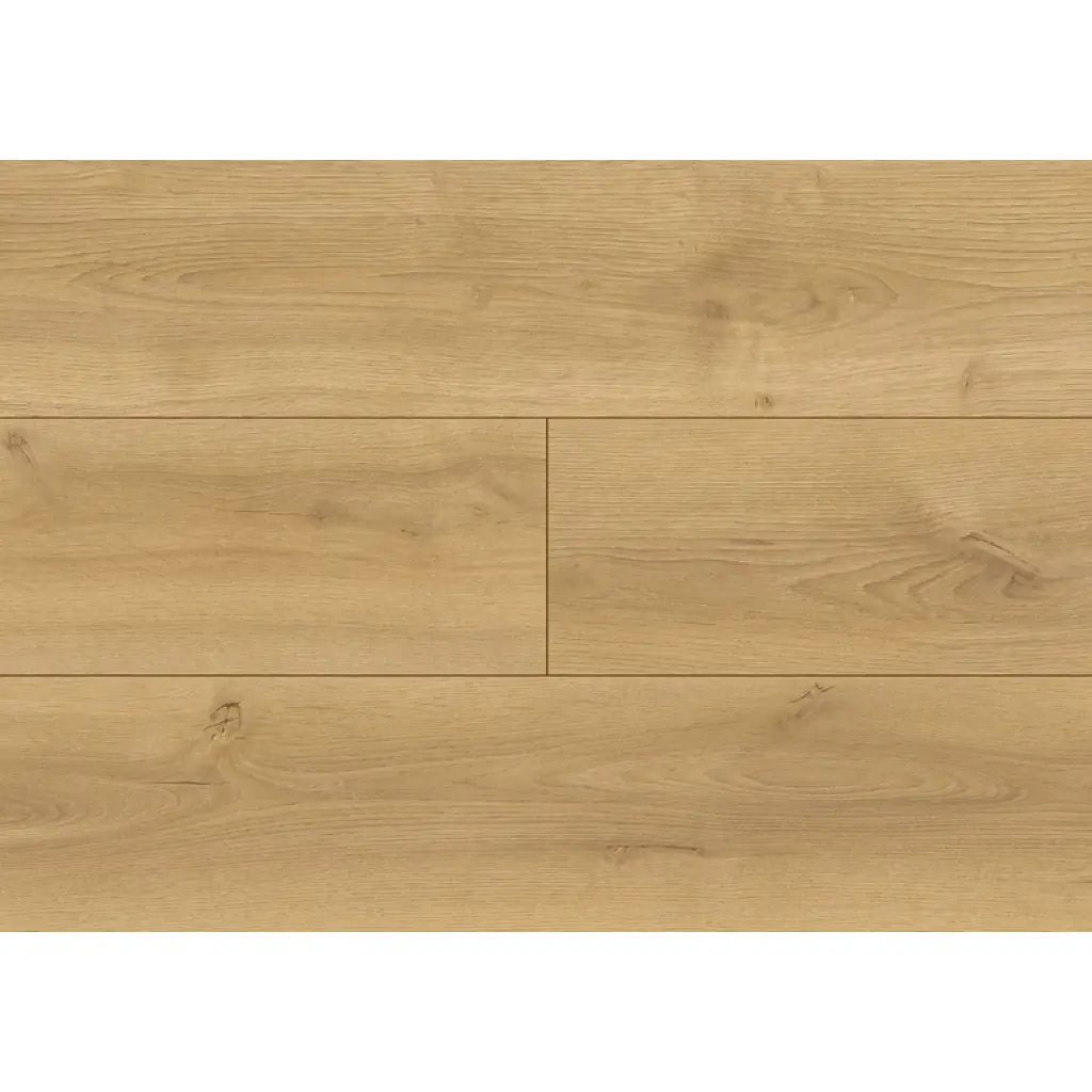 Panele podłogowe Dąb Nowoczesny D59884 AC4 8 mm, 86BP-59884, Panele podłogowe, Modern Classic Design, Modern Classic