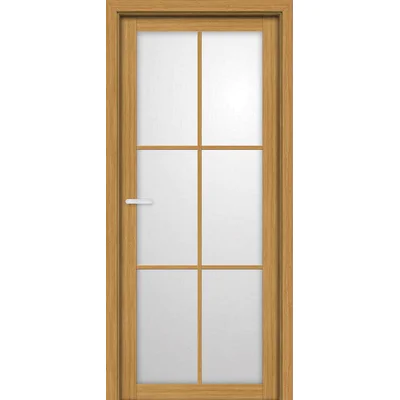 Drzwi Visio W01S6