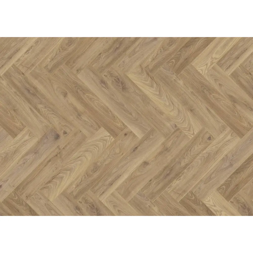 Panele podłogowe Jodełka Dąb Tradition 7005 AC5 8 mm, J-7005, Panele podłogowe, Hudson Bay 632, JOKA