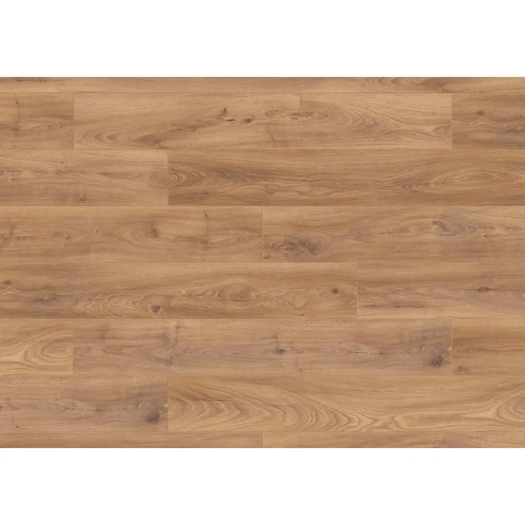Panele podłogowe Dąb Tradition 6005 AC4 8 mm, J-6005, Panele podłogowe, Hudson Bay 632, JOKA