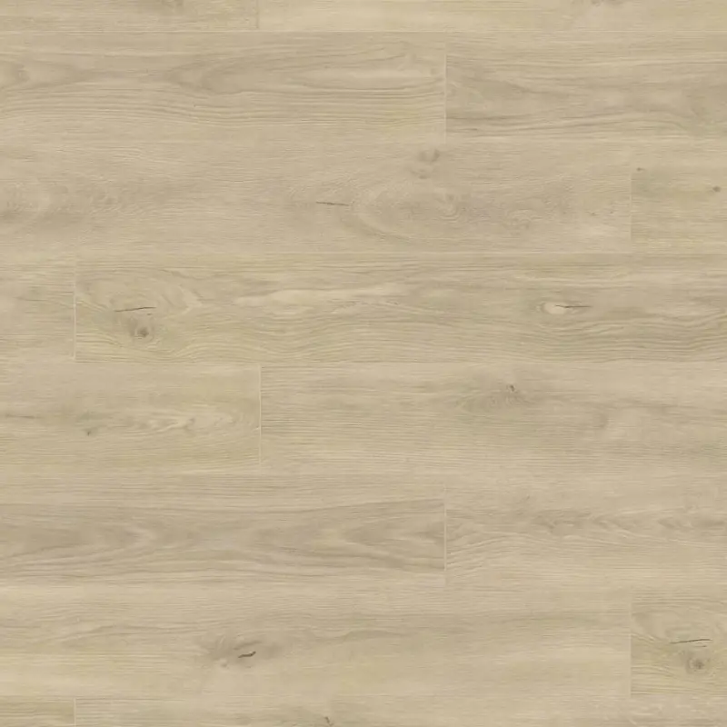 Panele podłogowe Dąb Spring 6006 AC4 8 mm, J-6006