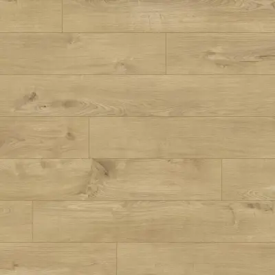 Panele podłogowe Dąb Timeless 6031 AC4 8 mm, J-6031