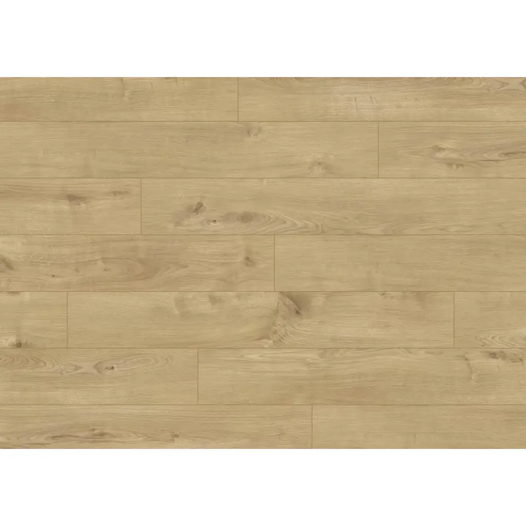 Panele podłogowe Dąb Timeless 6031 AC4 8 mm, J-6031, Panele podłogowe, Hudson Bay 632, JOKA