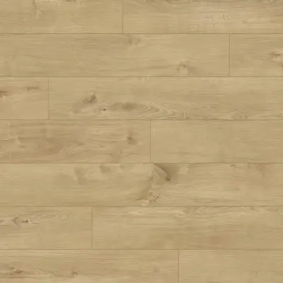 Panele podłogowe Dąb Timeless 6031 AC4 8 mm, J-6031