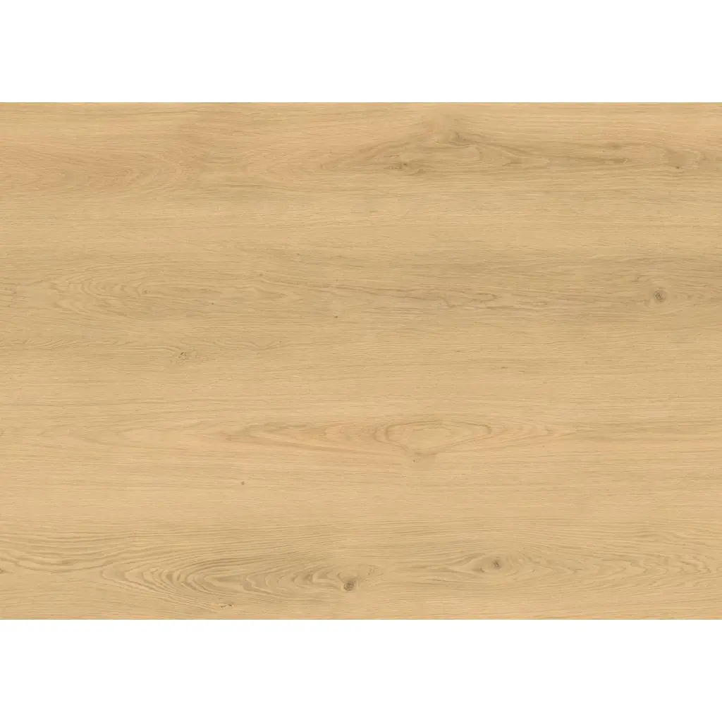 Panele winylowe SPC ze zintegrowanym podkładem Euphoria PAN000350 Klasa 34 6 mm, Panele winylowe, Metamorphose 6.0, Metamorphose