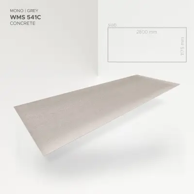 Płyta ścienna Mono Grey 541C, 5905167882061