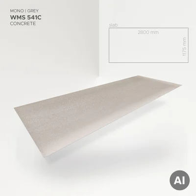 Płyta ścienna Mono Grey 541C, 5905167882061