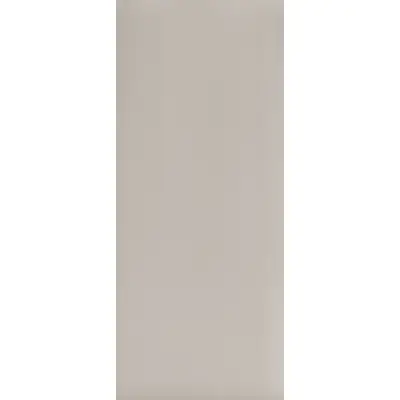 Płyta ścienna Mono Grey 541S, 5905167882214