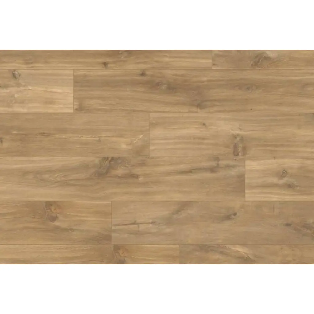 Panele podłogowe Dąb Naturalny Nocny CLP1487 AC4 8 mm, Panele podłogowe, Classic Plus, Unilin