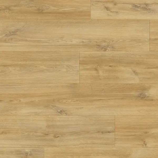 Panele podłogowe Estasi 777389 AC5 8 mm, 400107627