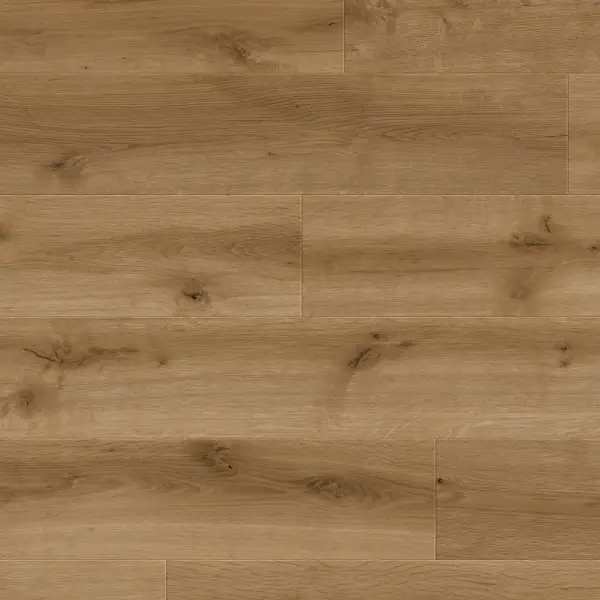 Panele podłogowe Speranza  777390 AC5 8 mm, 400107628