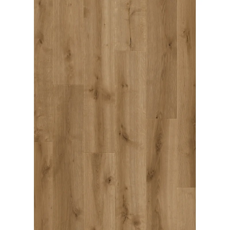 Panele podłogowe Speranza  777390 AC5 8 mm, 400107628 - 3