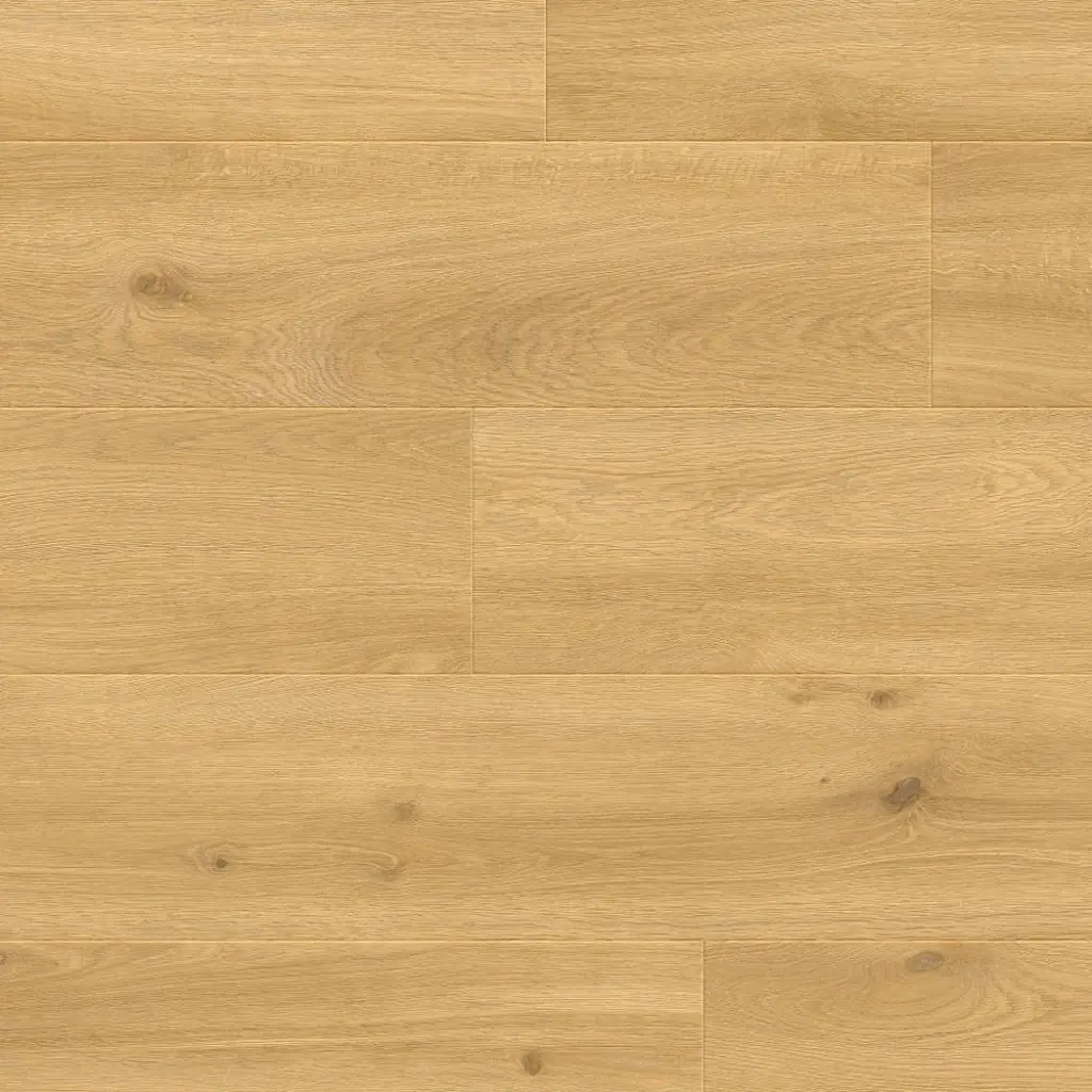 Panele podłogowe Gioia 777374 AC5 8 mm, 400107635, Panele podłogowe, Emozioni Wide, Balterio