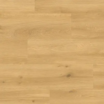 Panele podłogowe Gioia 777374 AC5 8 mm, 400107635