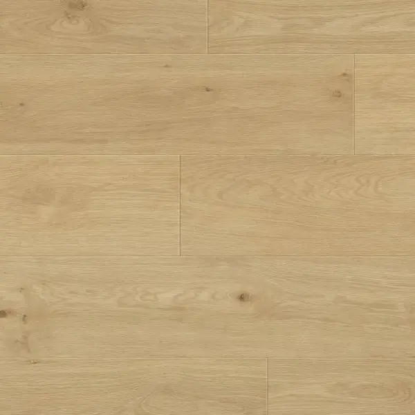 Panele podłogowe Paura 777376 AC5 8 mm, 400107637