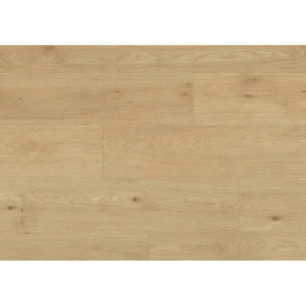 Panele podłogowe Paura 777376 AC5 8 mm, 400107637, Panele podłogowe, Emozioni Wide, Balterio