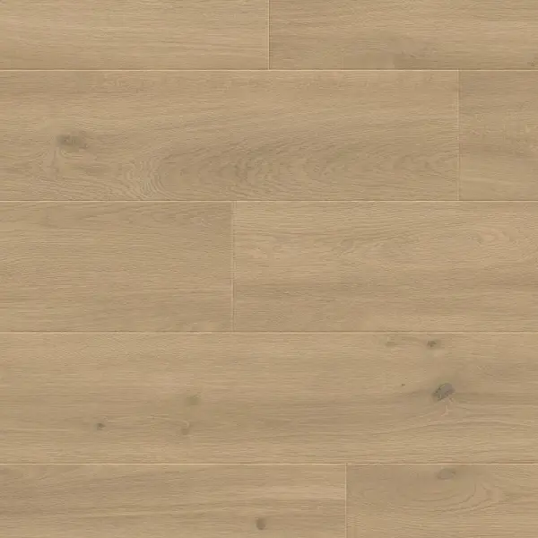 Panele podłogowe Sogno 777382 AC5 8 mm, 400107643