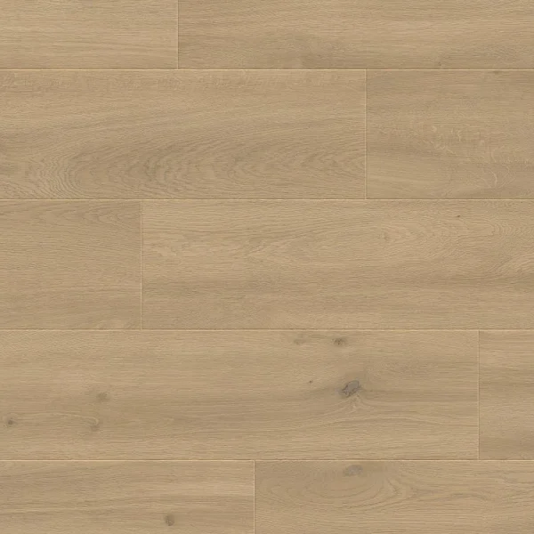 Panele podłogowe Sogno 777382 AC5 8 mm, 400107643 - 3