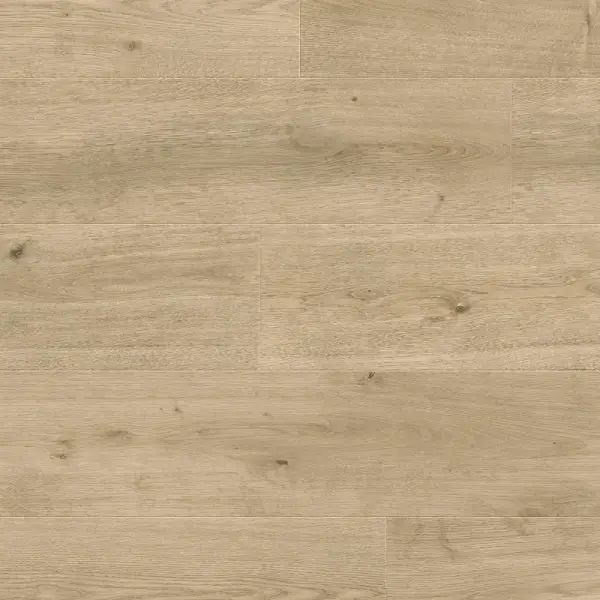 Panele podłogowe Nostalgia 777383 AC5 8 mm, 400107644