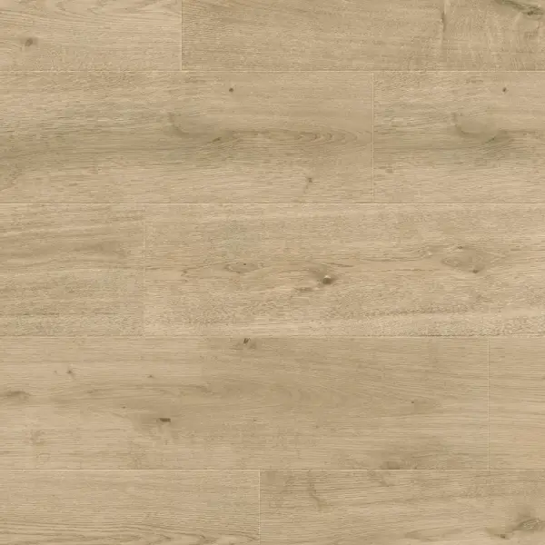 Panele podłogowe Nostalgia 777383 AC5 8 mm, 400107644 - 2