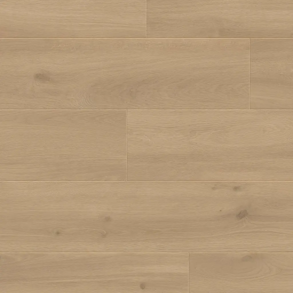 Panele podłogowe Felicita 777378 AC5 8 mm, 400107639, Panele podłogowe, Emozioni Wide, Balterio