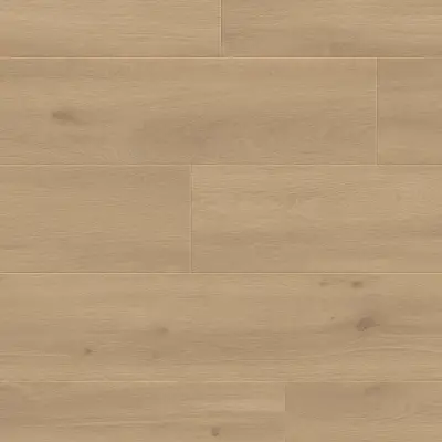 Panele podłogowe Felicita 777378 AC5 8 mm, 400107639