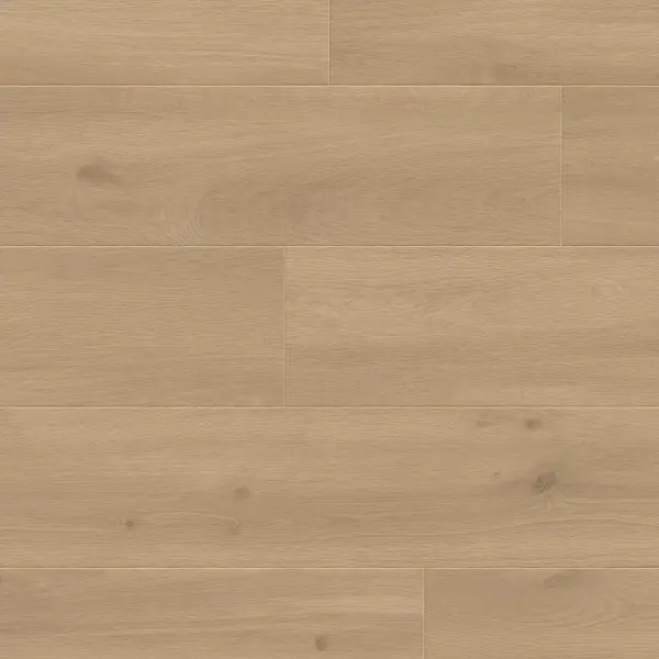 Panele podłogowe Felicita 777378 AC5 8 mm, 400107639