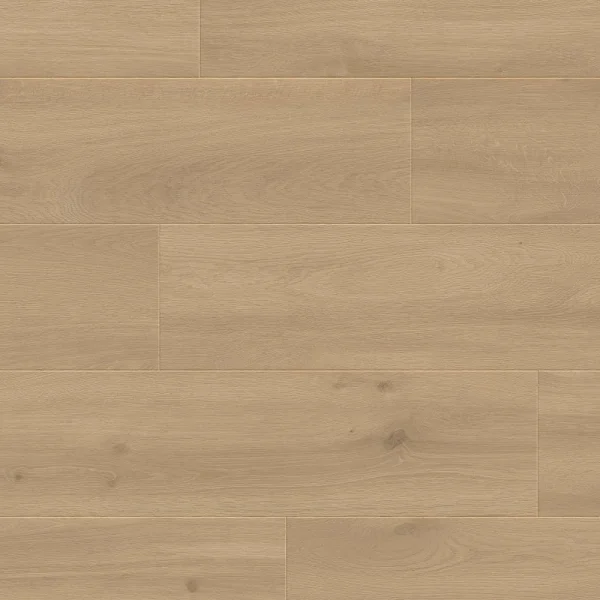 Panele podłogowe Felicita 777378 AC5 8 mm, 400107639 - 3