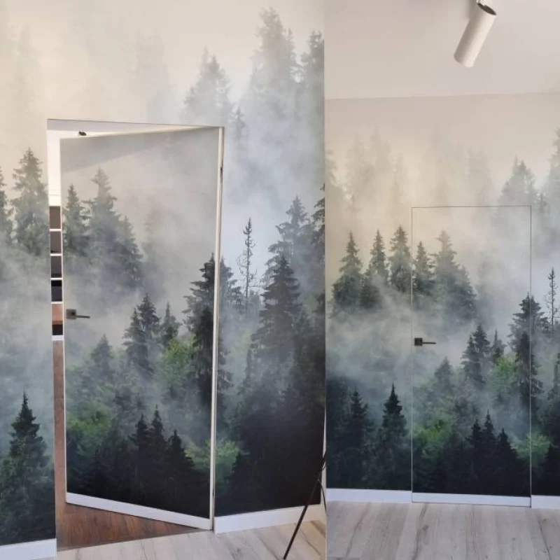 Zestaw Drzwi ukryte + Ościeżnica Sara Color odwrotna przyl