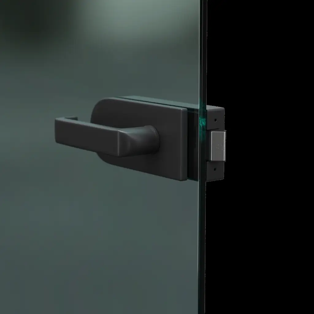 Drzwi Porta GLASS szyba matowa z malowanymi szprosami, wzór 2, Porta GLASS, PORTA GLASS, PORTA