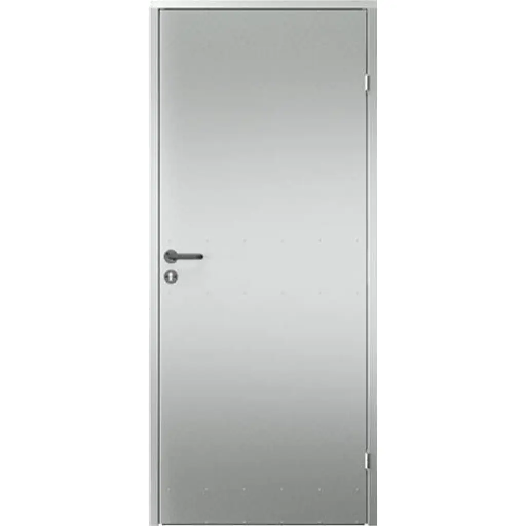 Drzwi Pełne, Uniwersalne drzwi pom. gospodarcze, Do pomieszczeń gospodarczych, PORTA