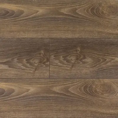 Panele podłogowe Dąb Vigo D 3797 AC4 8 mm