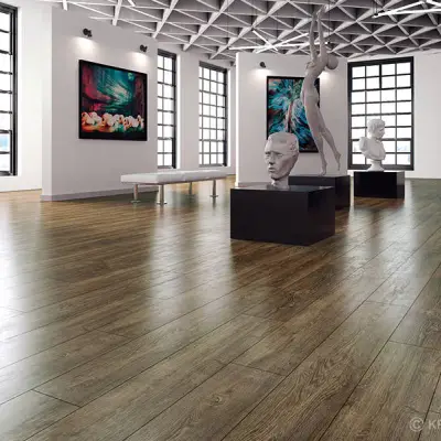 Panele Podłogowe Dąb Artemida D 3748 AC4 8 mm