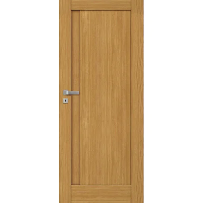 Drzwi Fortimo W01