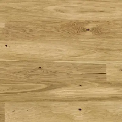 Dąb Askania grande 5Gc 1WG000675 14 mm