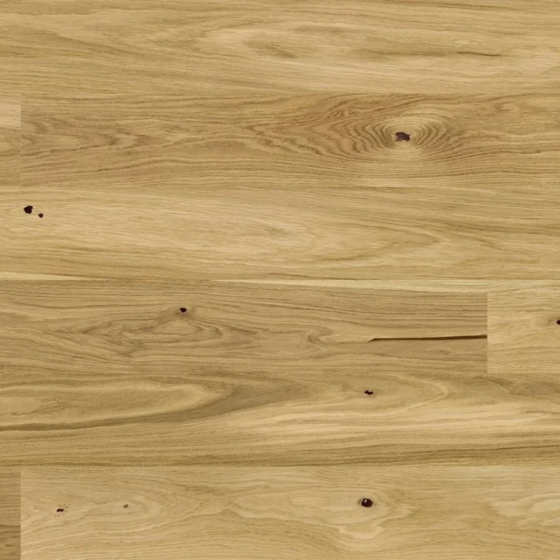 Dąb Askania grande 5Gc 1WG000675 14 mm - 4