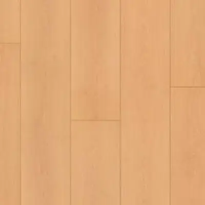 Panele Podłogowe Buk Exquisit 206618