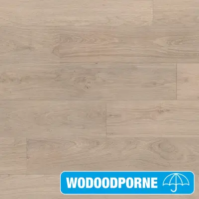 Panele Podłogowe Dąb Biały bielony CLM1291 AC4 8 mm