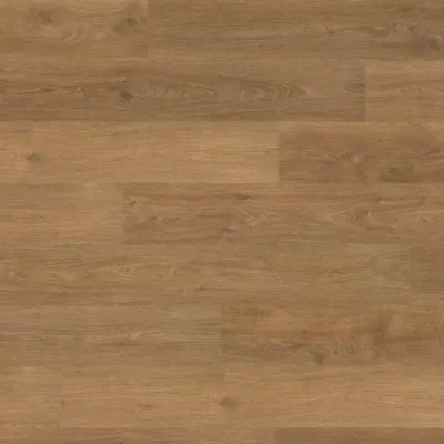 Panele Podłogowe Dąb Punata EPL131 AC5 8 mm