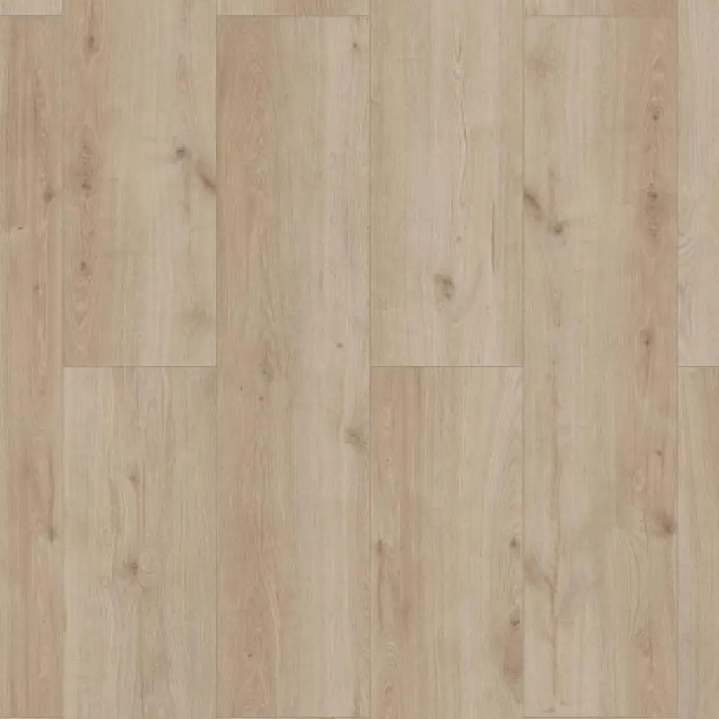 Panele podłogowe Sonolta XL  AC5 8 mm, 56195Large, Panele podłogowe, Skyline, Classen