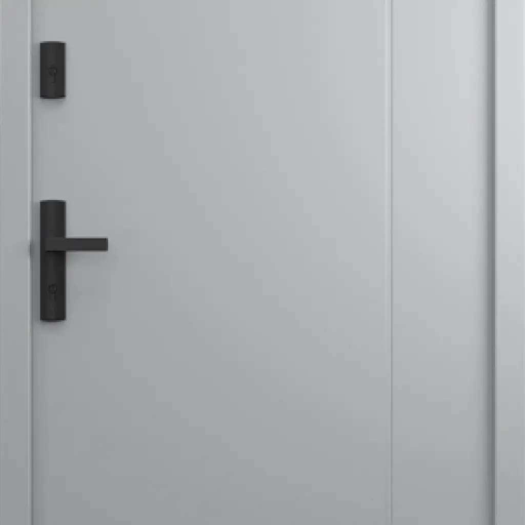 Drzwi Zewnętrzne Model L.6, Drzwi zewnętrzne, Porta THERMO Line, PORTA