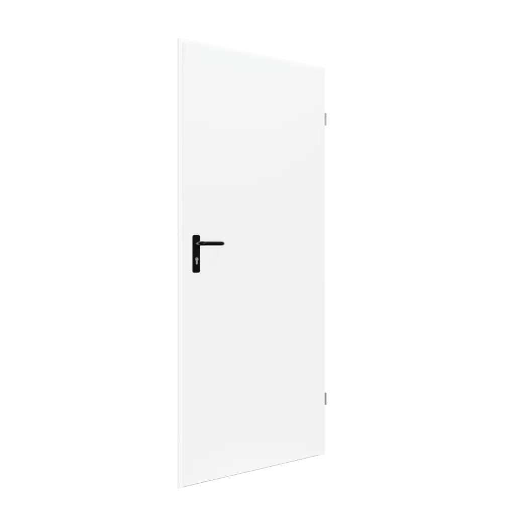 Drzwi techniczne stalowe 80 cm lewe Ecouni, T40 URAN 2 BIAŁY/80 LEWE, Drzwi zewnętrzne, Ecouni, Domoferm